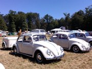 Beetle Show Rioz (25)